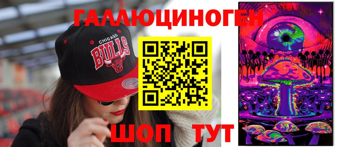 Псилоцибиновые грибы Psilocybe Баксан